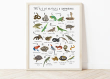 Load image into Gallery viewer, A-Z of Amphibians &amp; Reptiles Poster
