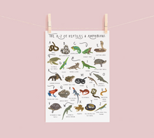 Load image into Gallery viewer, A-Z of Amphibians &amp; Reptiles Poster
