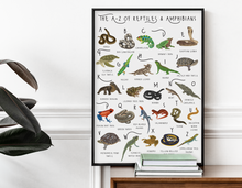 Load image into Gallery viewer, A-Z of Amphibians &amp; Reptiles Poster
